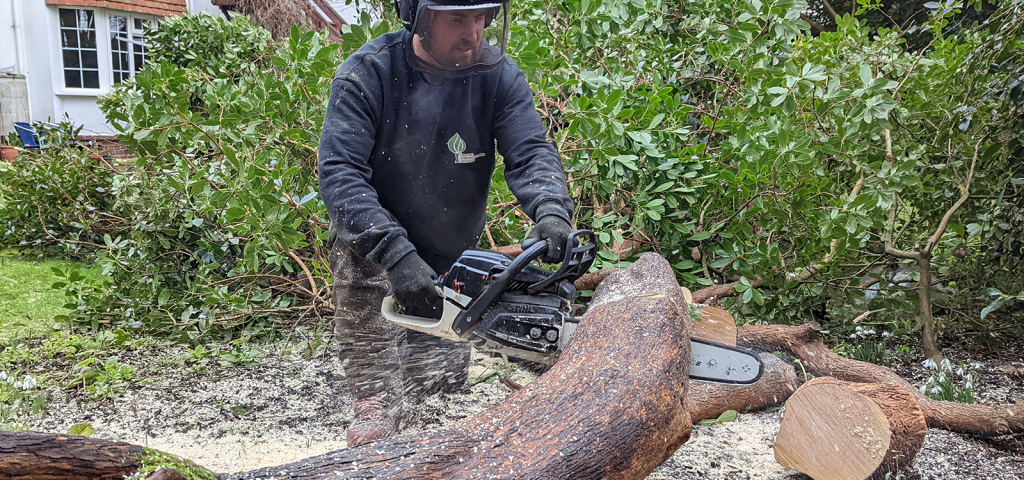 Kestrel Arboricultural Services Tree Surgeon Guides