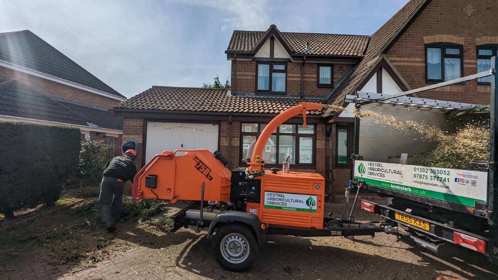 Kestrel Tree Surgeon